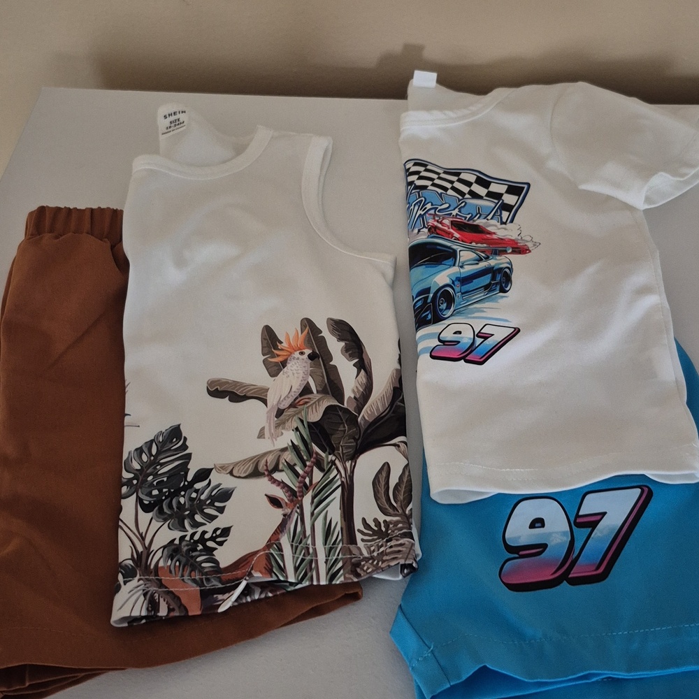 Baby Boy 18-24 Matching Shorts Sets